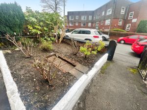 Front Garden- click for photo gallery